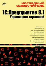 бесплатно читать книгу Наглядный самоучитель 1С:Предприятие 8.1. Управление торговлей автора Александр Жадаев