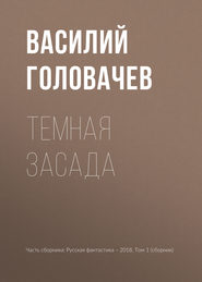 бесплатно читать книгу Темная засада автора Василий Головачев