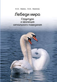 бесплатно читать книгу Лебеди мира. Структура и эволюция сигнального поведения автора Е. Павлова