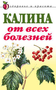бесплатно читать книгу Калина от всех болезней автора Л. Репейникова
