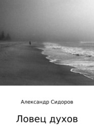 бесплатно читать книгу Ловец духов автора Александр Сидоров