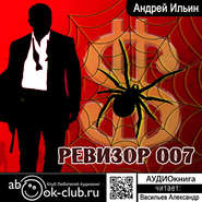 бесплатно читать книгу Ревизор 007 автора Андрей Ильин