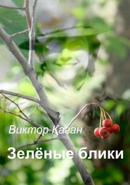 бесплатно читать книгу Зелёные блики автора Виктор Каган