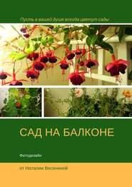бесплатно читать книгу Сад на балконе. Фитодизайн автора Наталия Весенина