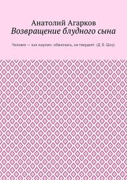 бесплатно читать книгу Возвращение блудного сына автора Анатолий Агарков