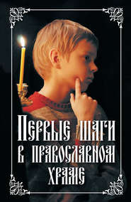 бесплатно читать книгу Первые шаги в православном храме автора Николай Посадский