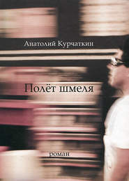 бесплатно читать книгу Полёт шмеля автора Анатолий Курчаткин