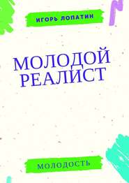 бесплатно читать книгу Молодой реалист автора Игорь Лопатин