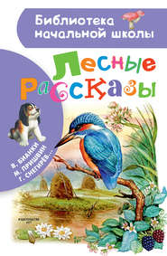 бесплатно читать книгу Лесные рассказы автора Виталий Бианки