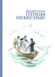 бесплатно читать книгу Птицы небесные (сборник) автора Валерий Лялин
