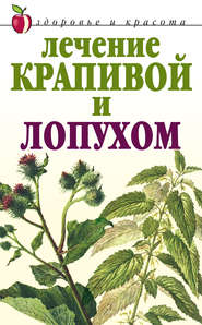 бесплатно читать книгу Лечение крапивой и лопухом автора Юлия Рычкова