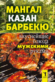 бесплатно читать книгу Мангал, казан, барбекю. Вкуснейшие блюда мужскими руками автора Ирина Зайцева