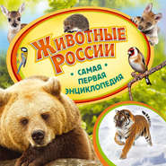 бесплатно читать книгу Животные России автора Анна Шахова