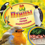 бесплатно читать книгу Птицы автора Ирина Травина