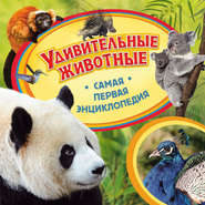 бесплатно читать книгу Удивительные животные автора Наталья Котятова