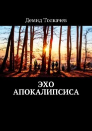 бесплатно читать книгу Эхо апокалипсиса автора Демид Толкачев