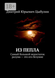 бесплатно читать книгу Из пепла. Самый большой недостаток разума – это его безумие автора Дмитрий Цыбулин