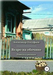 бесплатно читать книгу Ведро на обочине автора Александр Олсуфьев