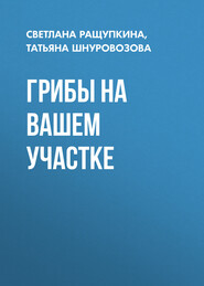 бесплатно читать книгу Грибы на вашем участке автора Светлана Ращупкина