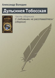 бесплатно читать книгу Дульсинея Тобосская автора Александр Володин