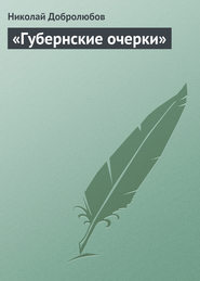 бесплатно читать книгу «Губернские очерки» автора Николай Добролюбов