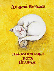 бесплатно читать книгу Приключения кота Шарля автора Андрей Нечаев