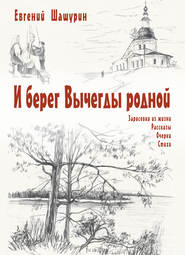 бесплатно читать книгу И берег Вычегды родной (сборник) автора Евгений Шашурин