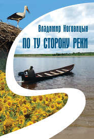 бесплатно читать книгу По ту сторону реки (сборник) автора Владимир Ноговицын