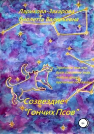 бесплатно читать книгу Созвездие «Гончих Псов» автора Виолетта Ларикова-Захарова