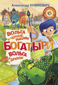 бесплатно читать книгу Богатыри. Вольга и чёрные рыцари. Вольга и дракон (сборник) автора Александр Княжевич