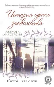 бесплатно читать книгу История одного знакомства автора Анастасия Акулова