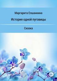 бесплатно читать книгу История одной пуговицы автора Маргарита Елшанкина