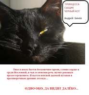 бесплатно читать книгу Принцесса, сыщик и черный кот автора Андрей Бинев