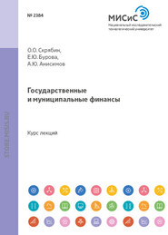 бесплатно читать книгу Государственные и муниципальные финансы автора Елена Бурова