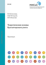 бесплатно читать книгу Теоретические основы бухгалтерского учета автора Анна Пятецкая