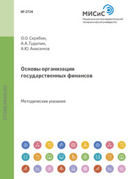 бесплатно читать книгу Основы организации государственных финансов автора Александр Анисимов