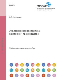 бесплатно читать книгу Экологическая экспертиза в литейном производстве автора Андрей Колтыгин