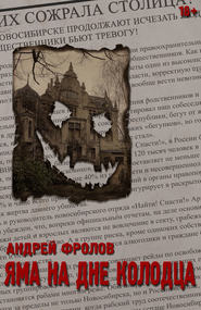бесплатно читать книгу Яма на дне колодца автора Андрей Фролов