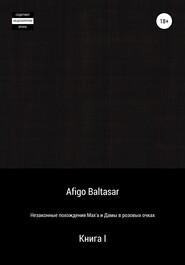 бесплатно читать книгу Незаконные похождения Max'a и Дамы в розовых очках. Книга 1 автора Afigo Baltasar