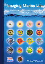 бесплатно читать книгу Imaging Marine Life. Macrophotography and Microscopy Approaches for Marine Biology автора Emmanuel Reynaud