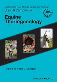 бесплатно читать книгу Blackwell's Five-Minute Veterinary Consult Clinical Companion. Equine Theriogenology автора Carla Carleton