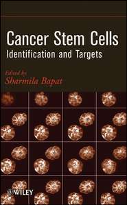 бесплатно читать книгу Cancer Stem Cells. Identification and Targets автора Sharmila Bapat