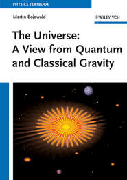 бесплатно читать книгу The Universe. A View from Classical and Quantum Gravity автора Martin Bojowald