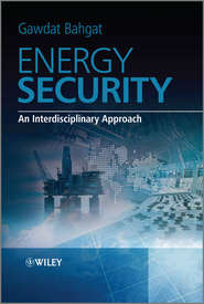 бесплатно читать книгу Energy Security. An Interdisciplinary Approach автора Gawdat Bahgat