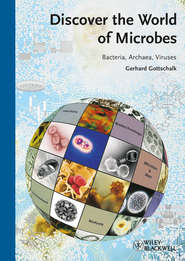 бесплатно читать книгу Discover the World of Microbes. Bacteria, Archaea, Viruses автора Gerhard Gottschalk