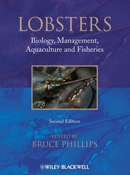 бесплатно читать книгу Lobsters. Biology, Management, Aquaculture & Fisheries автора Bruce Phillips
