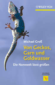бесплатно читать книгу Von Geckos, Garn und Goldwasser. Die Nanowelt lässt grüßen автора Michael Gross