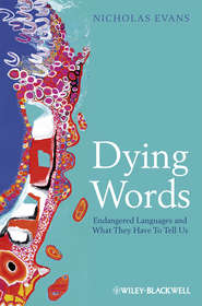 бесплатно читать книгу Dying Words. Endangered Languages and What They Have to Tell Us автора Nicholas Evans