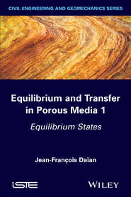 бесплатно читать книгу Equilibrium and Transfer in Porous Media 1. Equilibrium States автора Jean-François Daïan