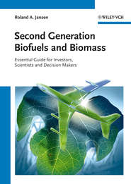 бесплатно читать книгу Second Generation Biofuels and Biomass. Essential Guide for Investors, Scientists and Decision Makers автора Roland Jansen